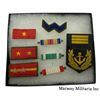 Image 1 : Tray Lot. Japanese related Collar Insignia Lot and more