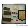 Image 2 : Tray Lot. Japanese related Collar Insignia Lot and more