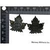 Image 2 : WW1 CEF 125th Battalion Cap Badge