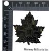 Image 2 : WW1 CEF 101st Battalion Cap Badge