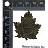 Image 2 : WW1 CEF 161st Battalion Cap Badge