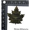 Image 2 : WW1 CEF 160th Battalion Cap Badge