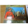 Image 9 : RCMP lot, lapel pins, book, metal logo, key chain, post cards