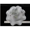 Image 3 : Hobnail Milk Glass Ribbon Dish with Sprouting flowers