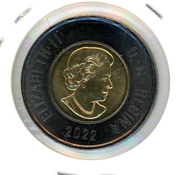 Awareness Ribbon Black, Mourning/P.O.W. 2-1/4" X 1-1/4" With Safety Pin - Foto 11