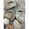 Image 2 : LOT OF MAGICAL SEA SHELLS WITH CLEMENTINE ORANGE BOX