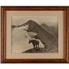 Image 2 : T.J. Hileman, photo