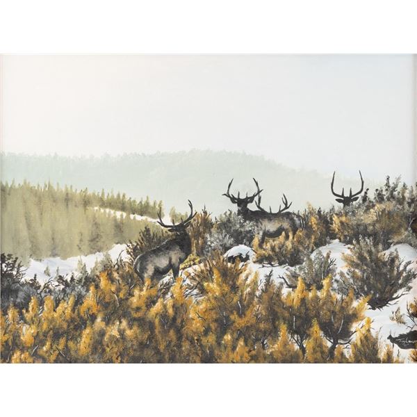 Tim Lawson, oil on canvasbaord