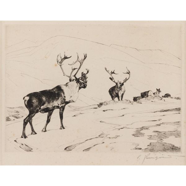 Carl Rungius, etching
