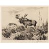 Image 1 : Carl Rungius, etching