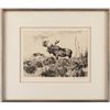 Image 2 : Carl Rungius, etching