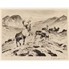 Image 1 : Carl Rungius, etching