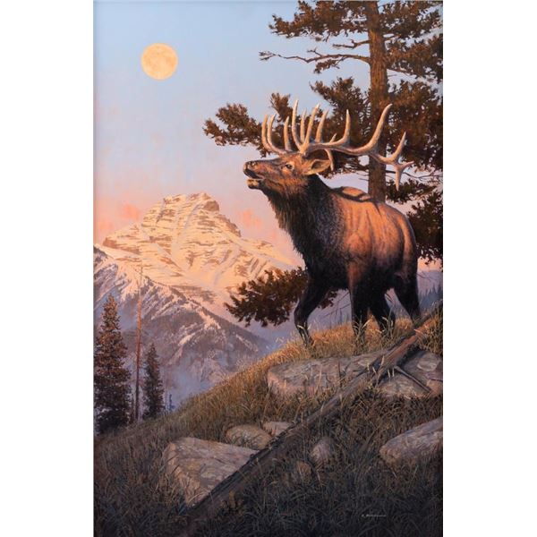 Ross Buckland, oil on canvas