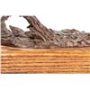 Image 8 : Jay Contway, bronze