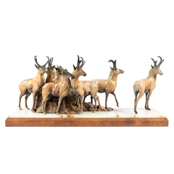 Sherry Salari Sander, bronze