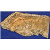 Image 2 : Gold Ore Slab, Cannon Mine, Wenatchee, Washington [132524]