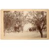 Image 1 : Cloverdale, California Cabinet Card [135878]