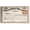 Image 1 : Liebig Gold Mining & Mill Company Stock Certificate [155302]