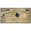 Image 1 : Mayflower G&S MC Stock - Early Nevada/Utah/California incorporation [144374]