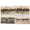 Image 1 : Ostrich Farm Long Beach CA. Postcards [142163]