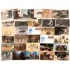 Image 1 : Animals on Postcards Collections [142425]