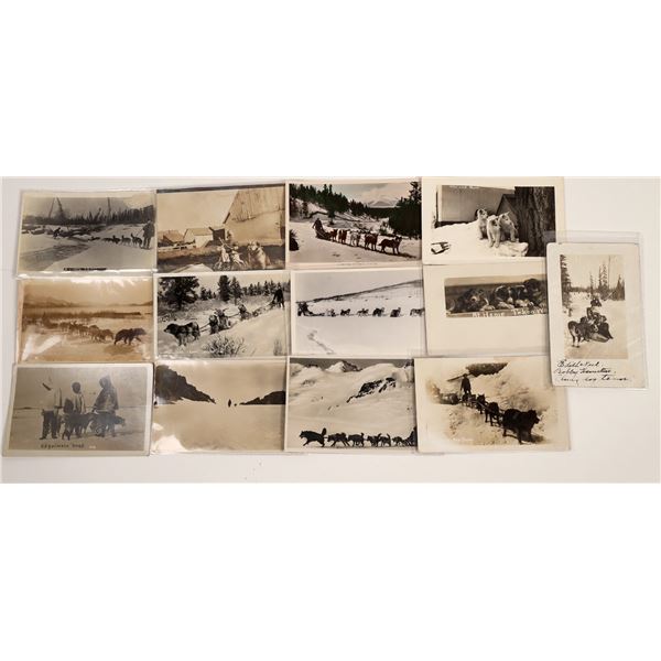 Dog Postcards: Sled Dog Real Photo Postcards [134974]