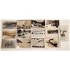 Image 1 : Dog Postcards: Sled Dog Real Photo Postcards [134974]