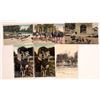 Image 1 : Florida and Arkansas Ostrich Farms Postcards. [142237]