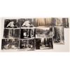 Image 1 : Frank Patterson Real Photo Postcards: California Redwood Locales [127251]