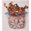 Image 1 : Uncirculated Bag of 1980 Canadian Pennies [145792]