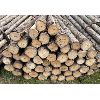 Image 2 : LOT OF 50 - CEDAR FENCE POSTS 