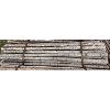 Image 1 : LOT OF 50 - CEDAR FENCE POSTS 