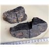 Image 1 : Coal from Site 87, SS Central America Treasure Project [161610]