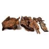 Image 1 : The Easton Trunk from the S.S. Central America Treasure [159098]