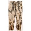 Image 1 : Men's Pants, Dement Trunk, SS Central America Treasure [159113]