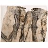 Image 2 : Men's Pants, Dement Trunk, SS Central America Treasure [159113]