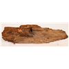 Image 2 : Worm Carved Ship's Timber, SS Central America Treasure [160809]