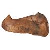 Image 1 : Small Poke, SS Central America Treasure [160889]