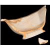 Image 1 : Wash Bowl Fragment, SS Central America Treasure [160813]