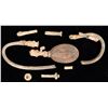 Image 1 : Dr. Mattson's Elastic Injection Instrument and Instructions, SS Central America Treasure [160975]