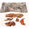 Image 1 : Clothing Accessories, recovered from the SS Central America Shipwreck [161762]