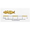 Image 3 : Gold Nugget Pinback Horizontal Brooch, S.S. Central America treasure [152362]