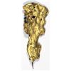 Image 1 : Gold Nugget Pinback, S.S. Central America treasure [146625]
