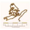 Image 1 : Gold-toned chain, ~37cm, S.S. Central America treasure [149456]