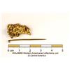 Image 3 : Gold Nugget Brooch, S.S. Central America treasure [146612]