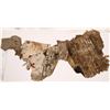 Image 8 : Commercial Retail Items or Packing, SS Central America Treasure [161597]