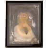 Image 2 : Ambrotype Photograph, Robert H. Vance, SS Central America Treasure [160993]