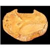 Image 2 : Brass Luggage Tag NY to SAN Fo  #4000, SS Central America Treasure [153312]