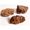 Image 2 : Lumps of Coal, 3, SS Central America Treasure [161063]