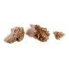Image 1 : Gypsum Pieces, SS Central America Treasure [160950]